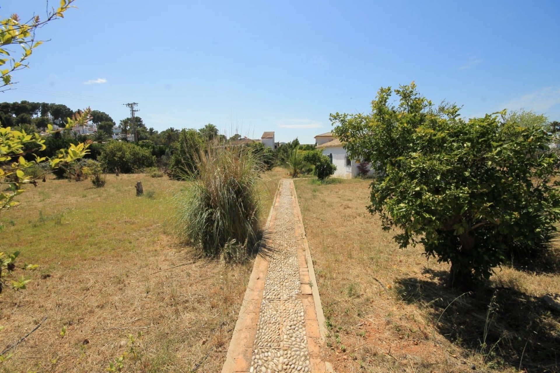 Bestaande woningen - Bedrijfsruimte - Javea