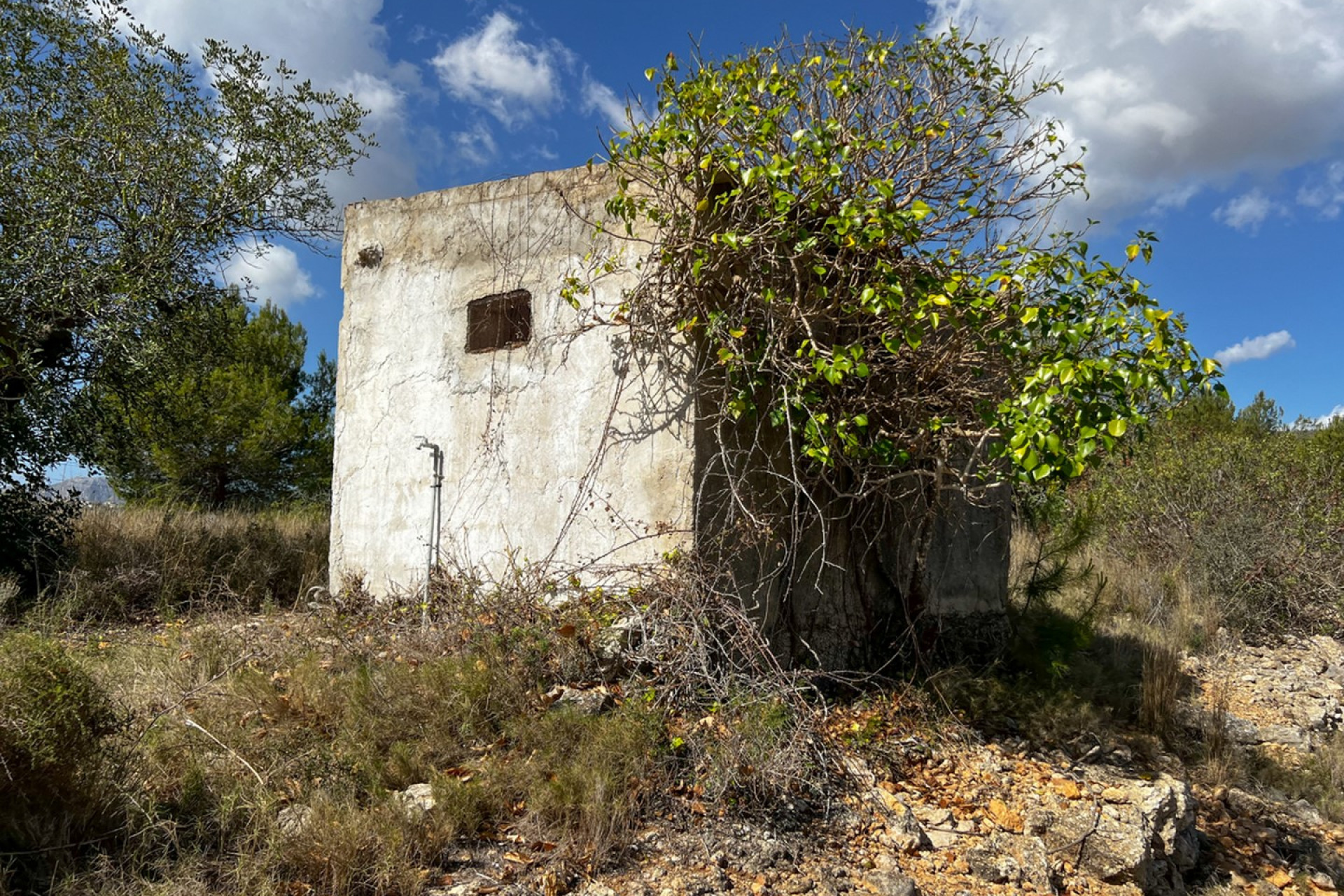 Bestaande woningen - Country House / Finca - Benissa