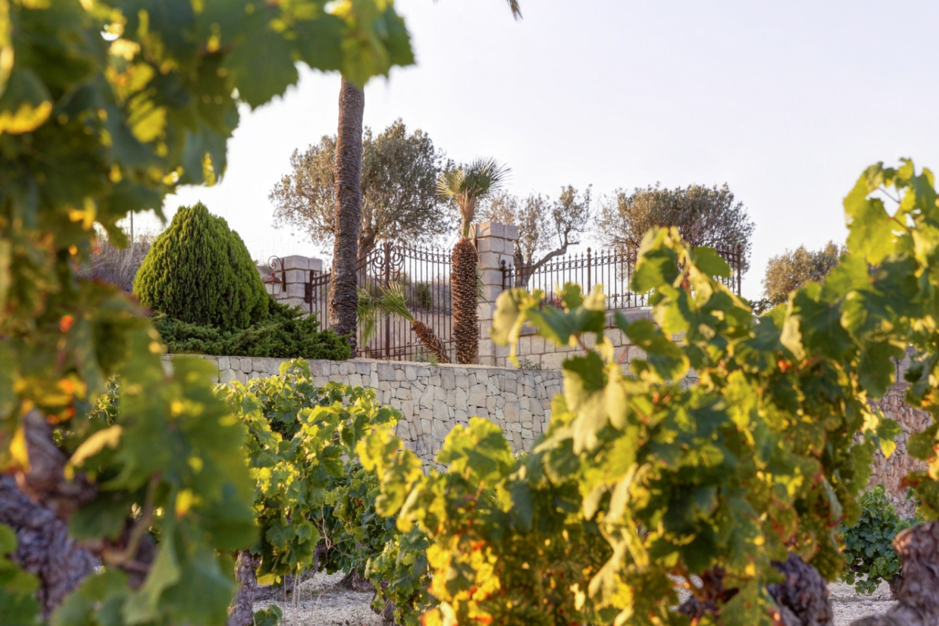 Bestaande woningen - Country House / Finca - Moraira - Campo