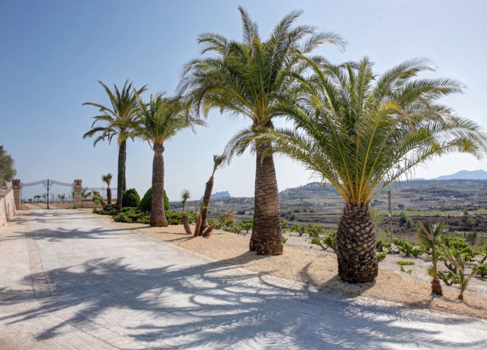 Bestaande woningen - Country House / Finca - Moraira - Campo