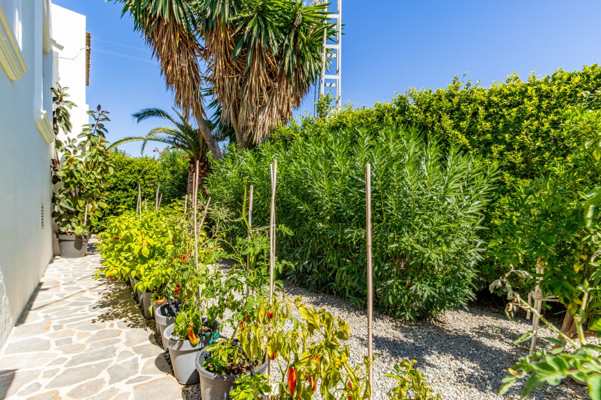 Bestaande woningen - Villa - Benissa - Baladrar