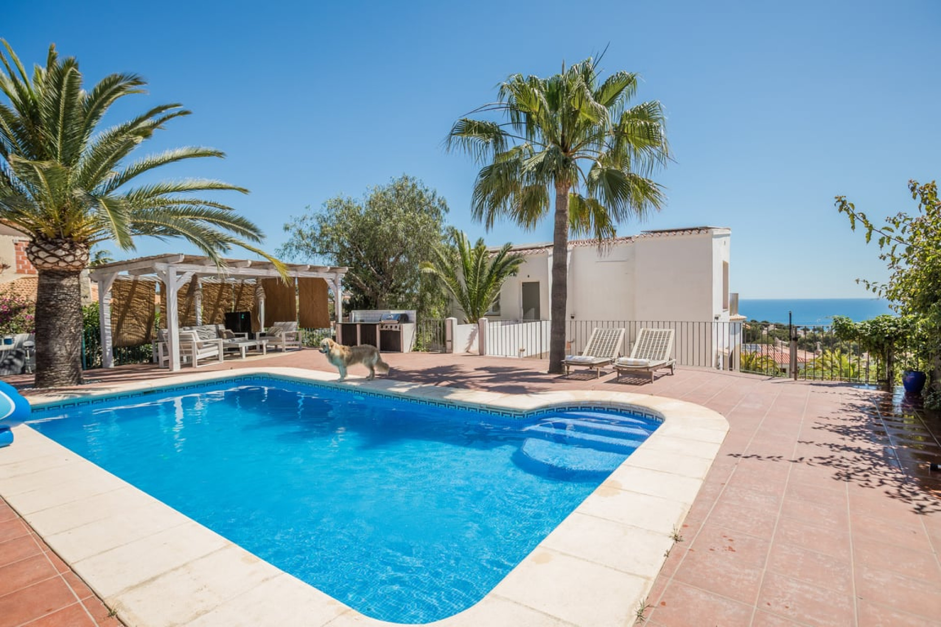 New Build - Villa - Javea - Jávea