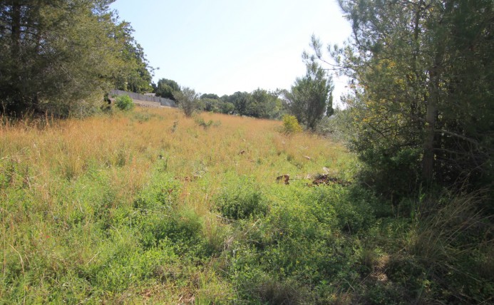 Parcela/Terreno - Reventa - Javea - Javea