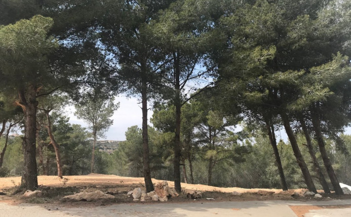 Perceel - Bestaande woningen - Moraira - BC12-23787