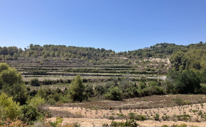 Plot - Resale - Teulada - BC02-28226