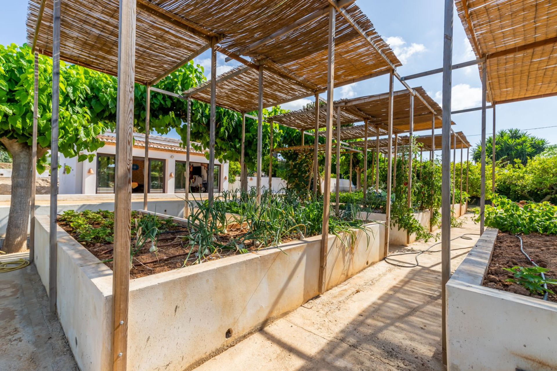 Resale - Country House / Finca - Javea - Jávea