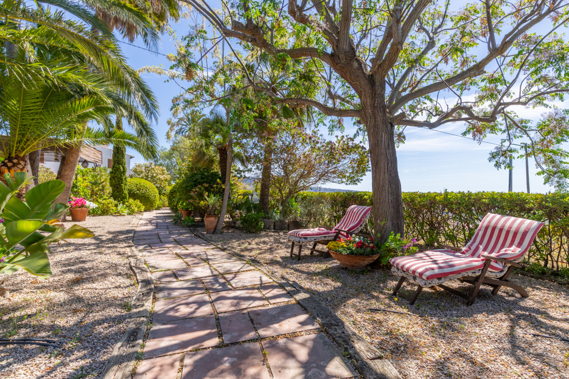 Resale - Country House / Finca - Teulada - Campo