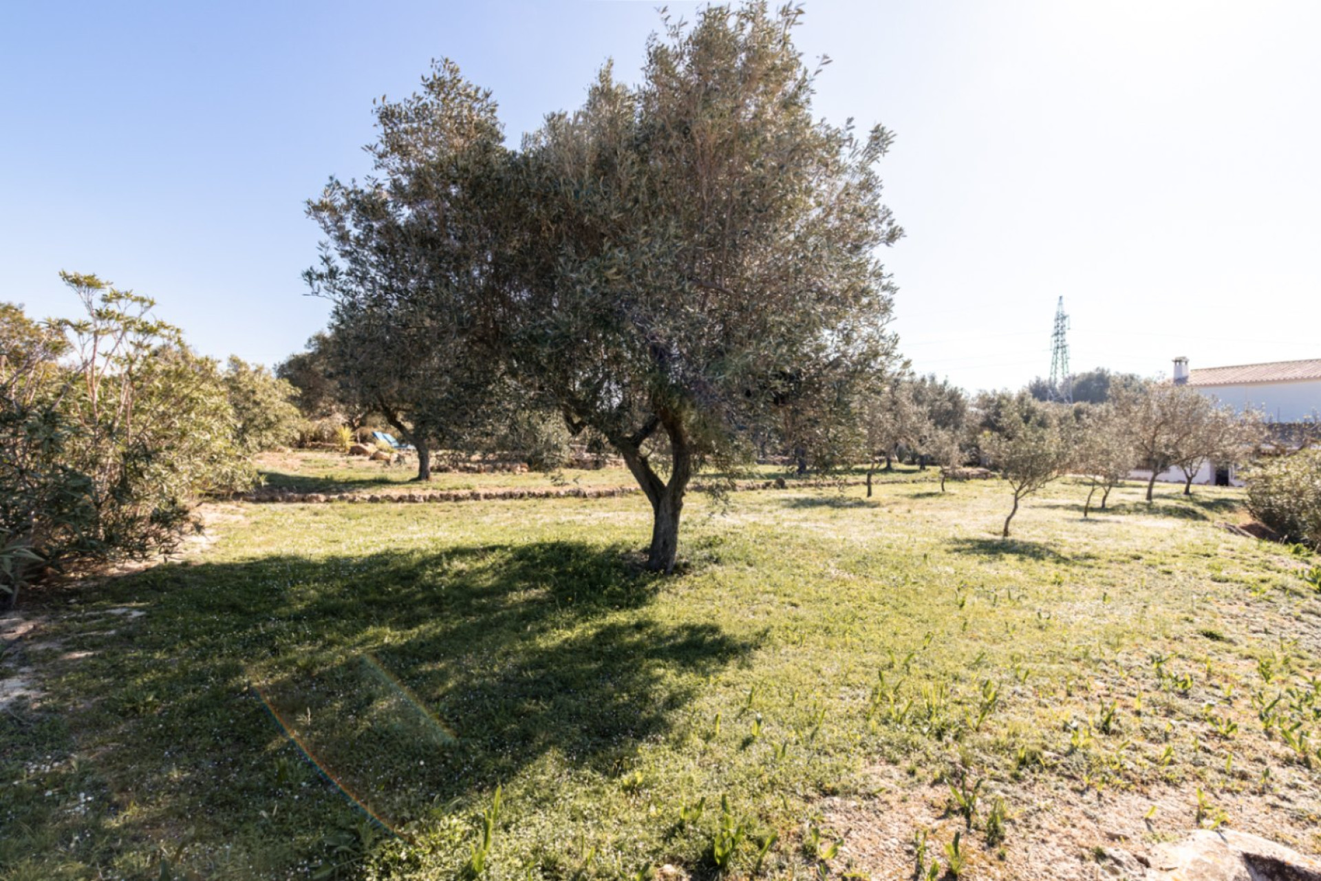 Resale - Country House / Finca - Teulada - Canor