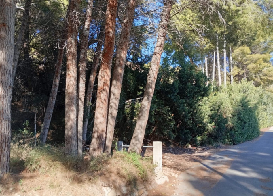 Resale - Plot - Calpe - Oltamar