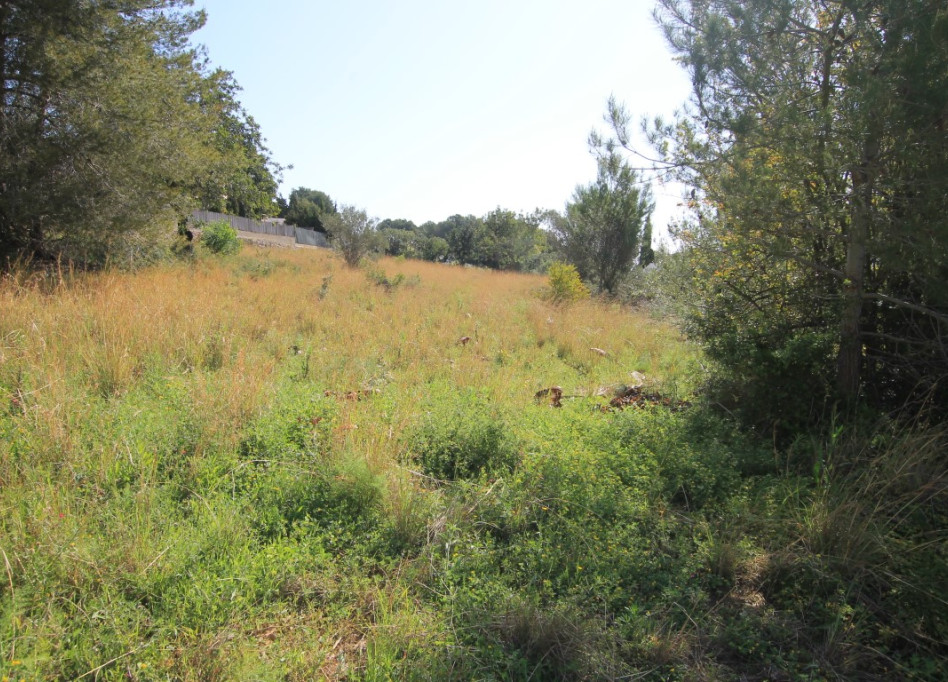Resale - Plot - Javea - Jávea