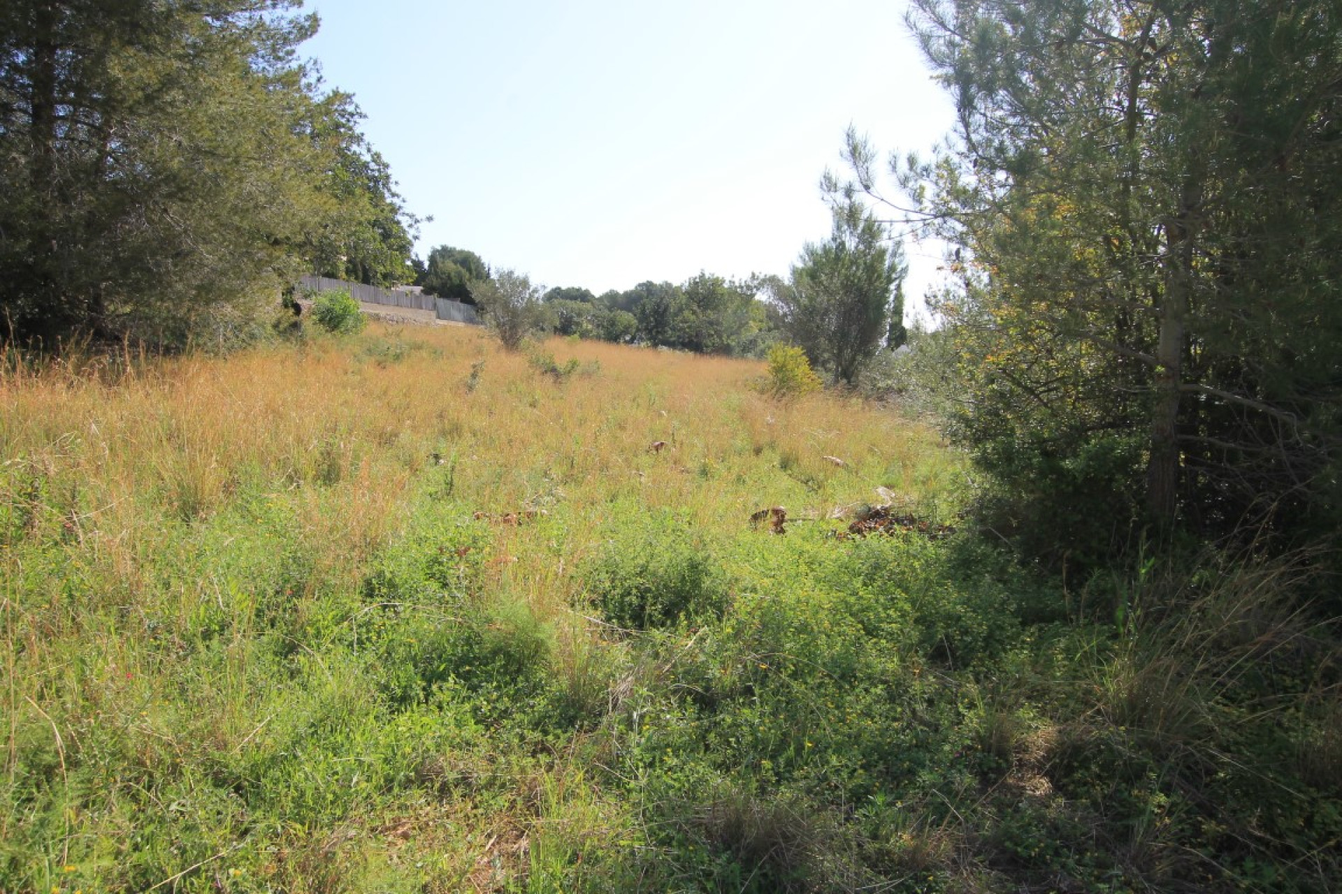 Resale - Plot - Javea - Jávea