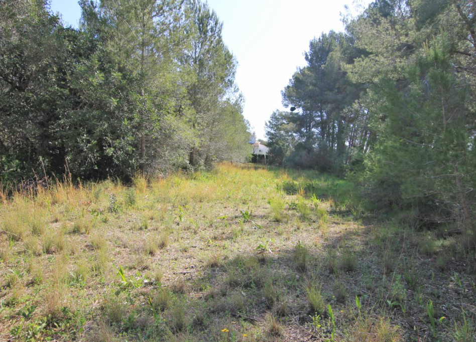 Resale - Plot - Javea - Jávea