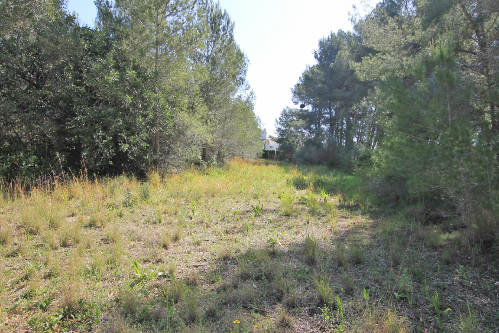 Resale - Plot - Javea - Jávea