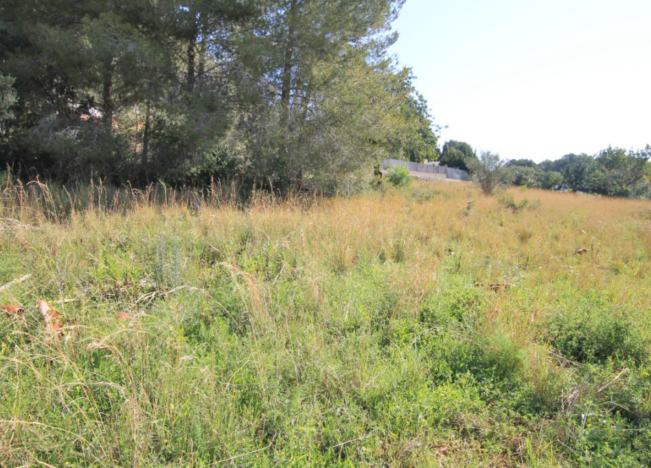 Resale - Plot - Javea - Jávea
