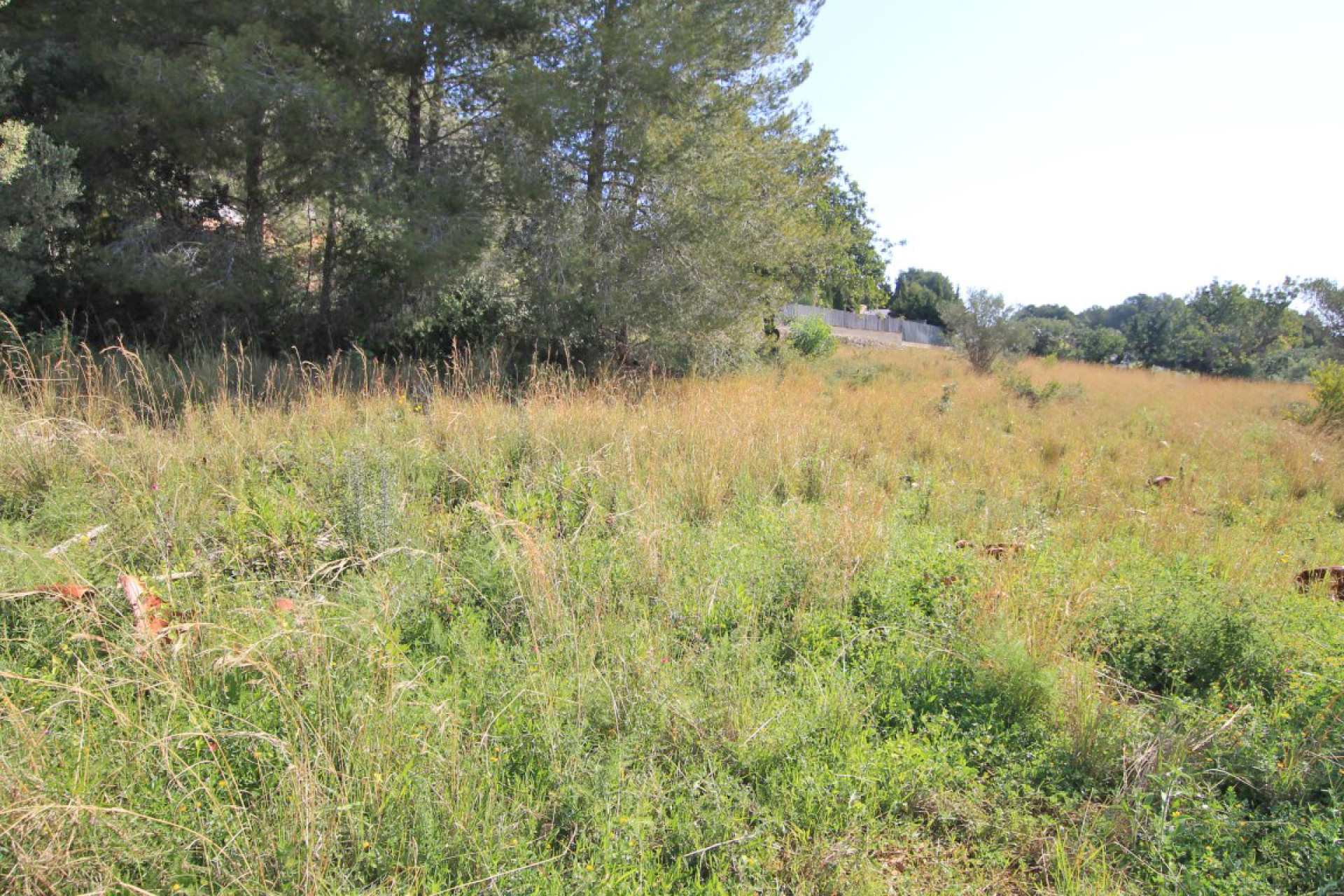 Resale - Plot - Javea - Jávea