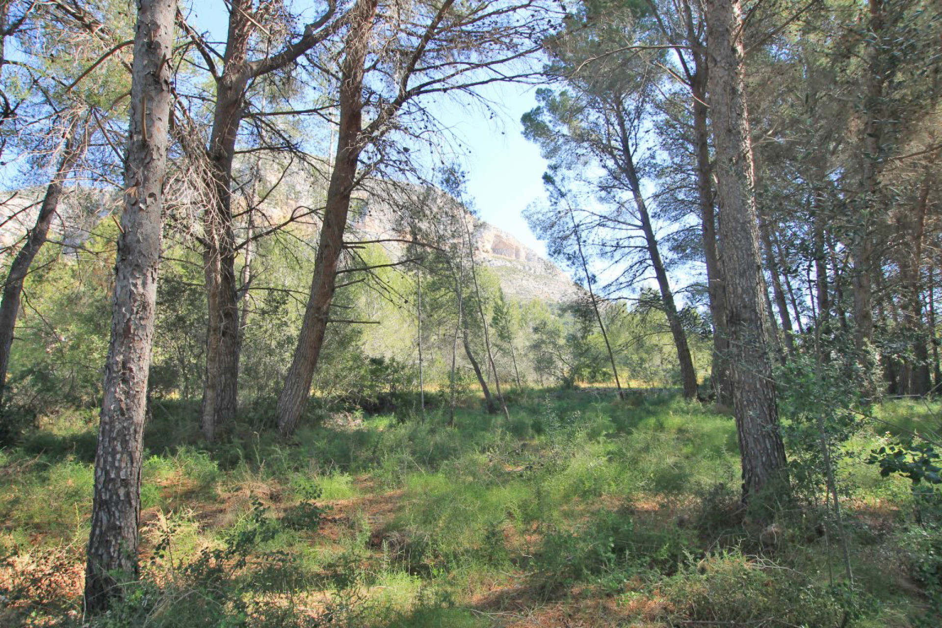 Resale - Plot - Javea - Jávea