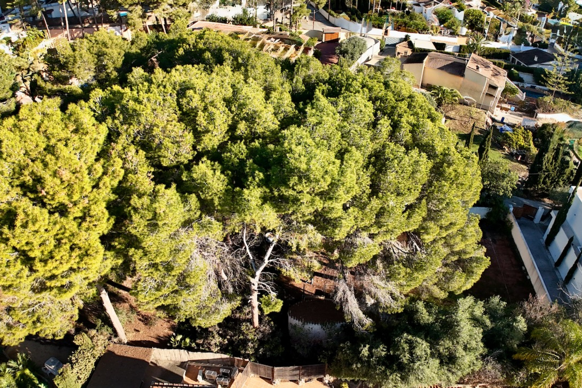 Resale - Plot - Moraira - La Cometa