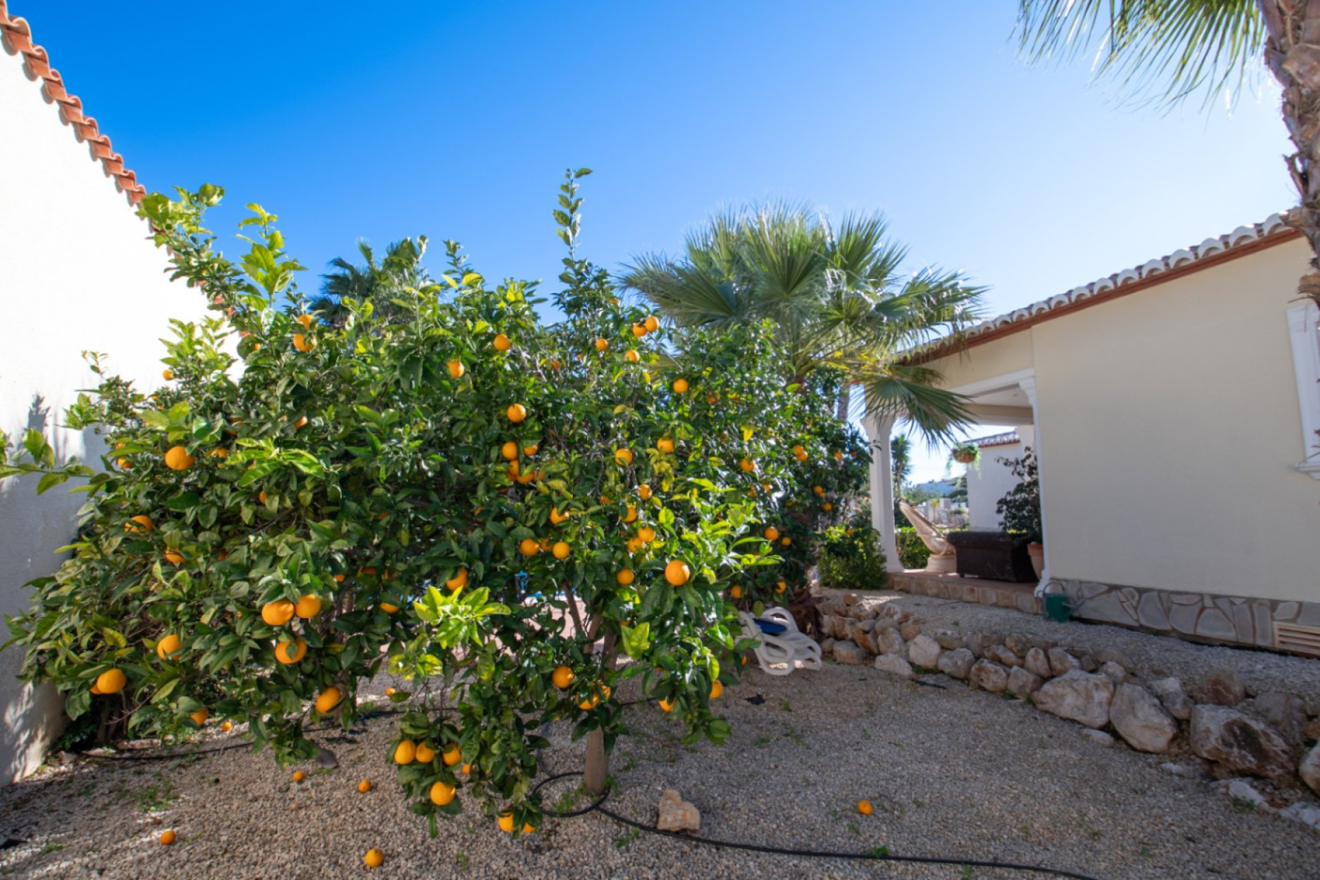 Resale - Villa - Javea - Ambolo