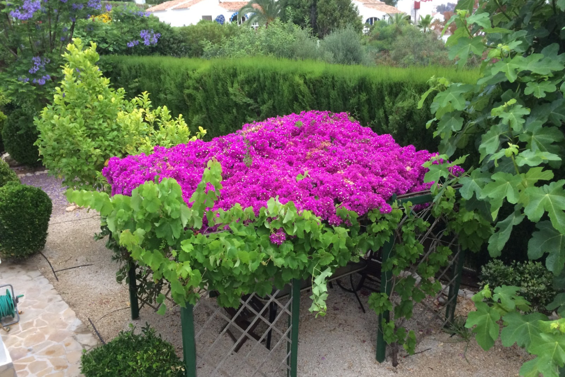Resale - Villa - Javea - Cansalades