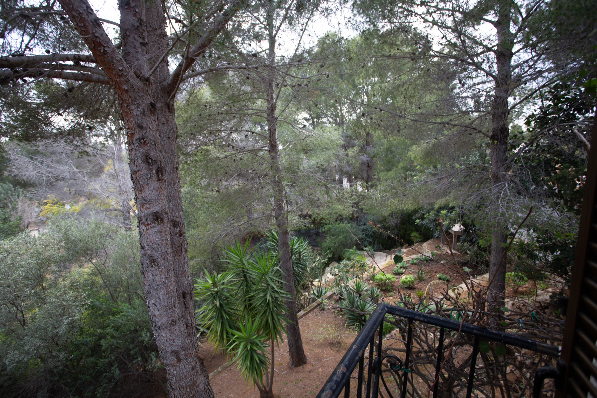 Resale - Villa - Jávea / Xàbia - Montgó - Ermita