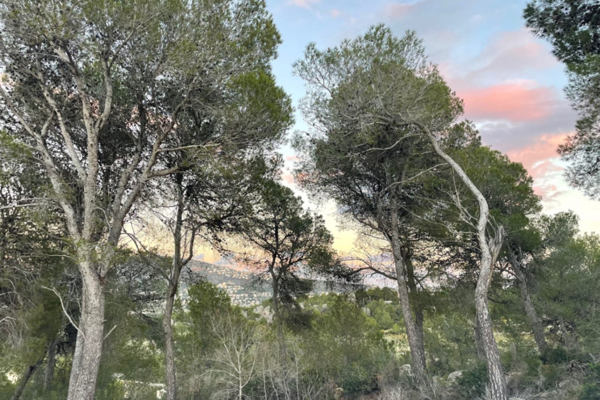 Resale - Villa - Moraira - Benimeit