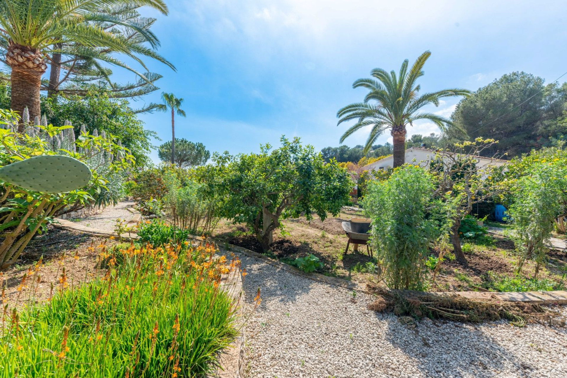 Resale - Villa - Moraira - La Arnella