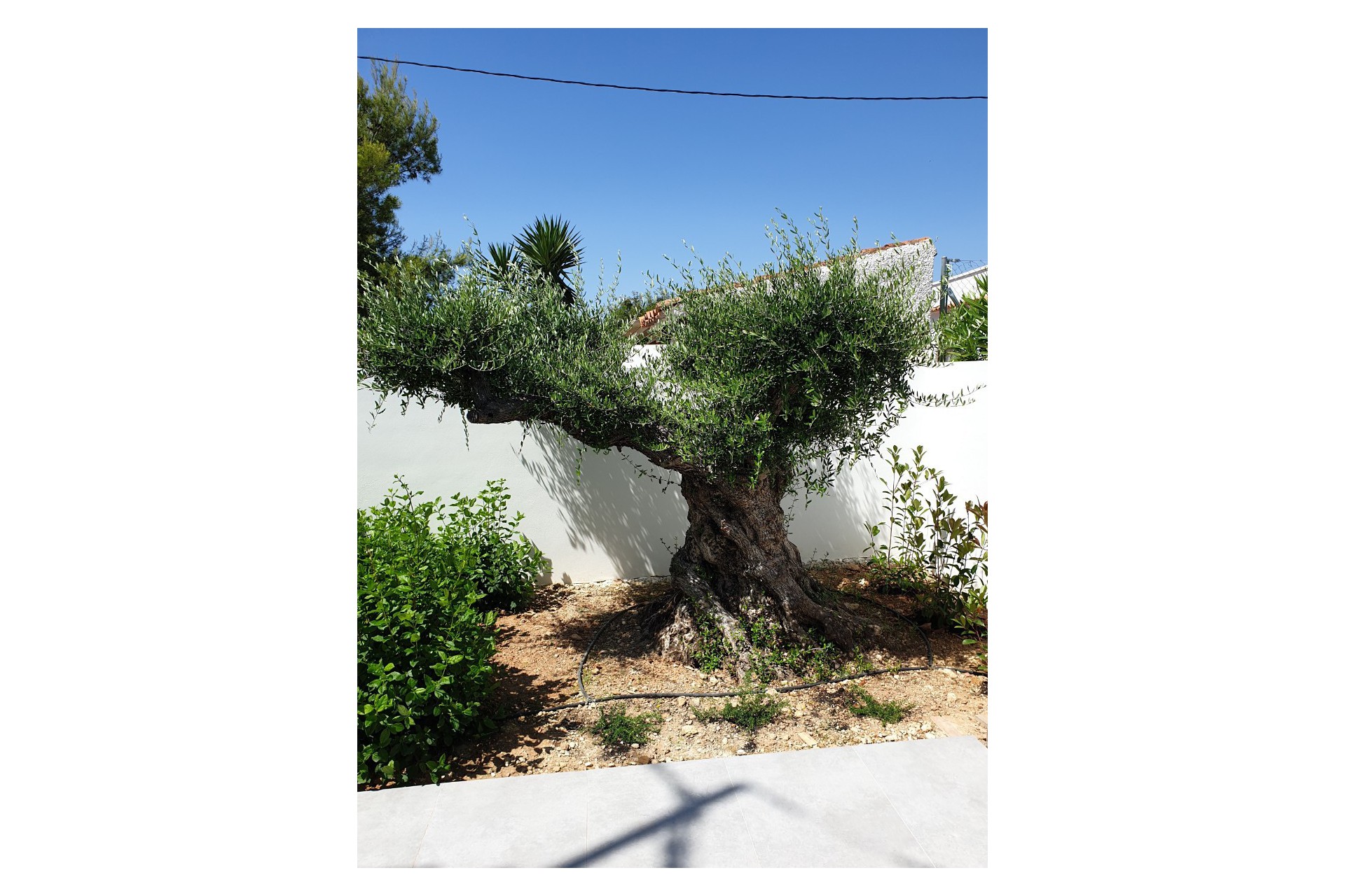Reventa - Chalet - Benissa - La Fustera