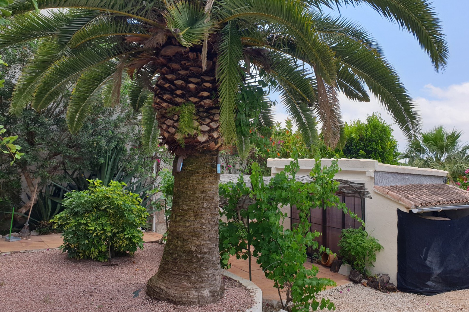 Reventa - Chalet - Javea - Montgo