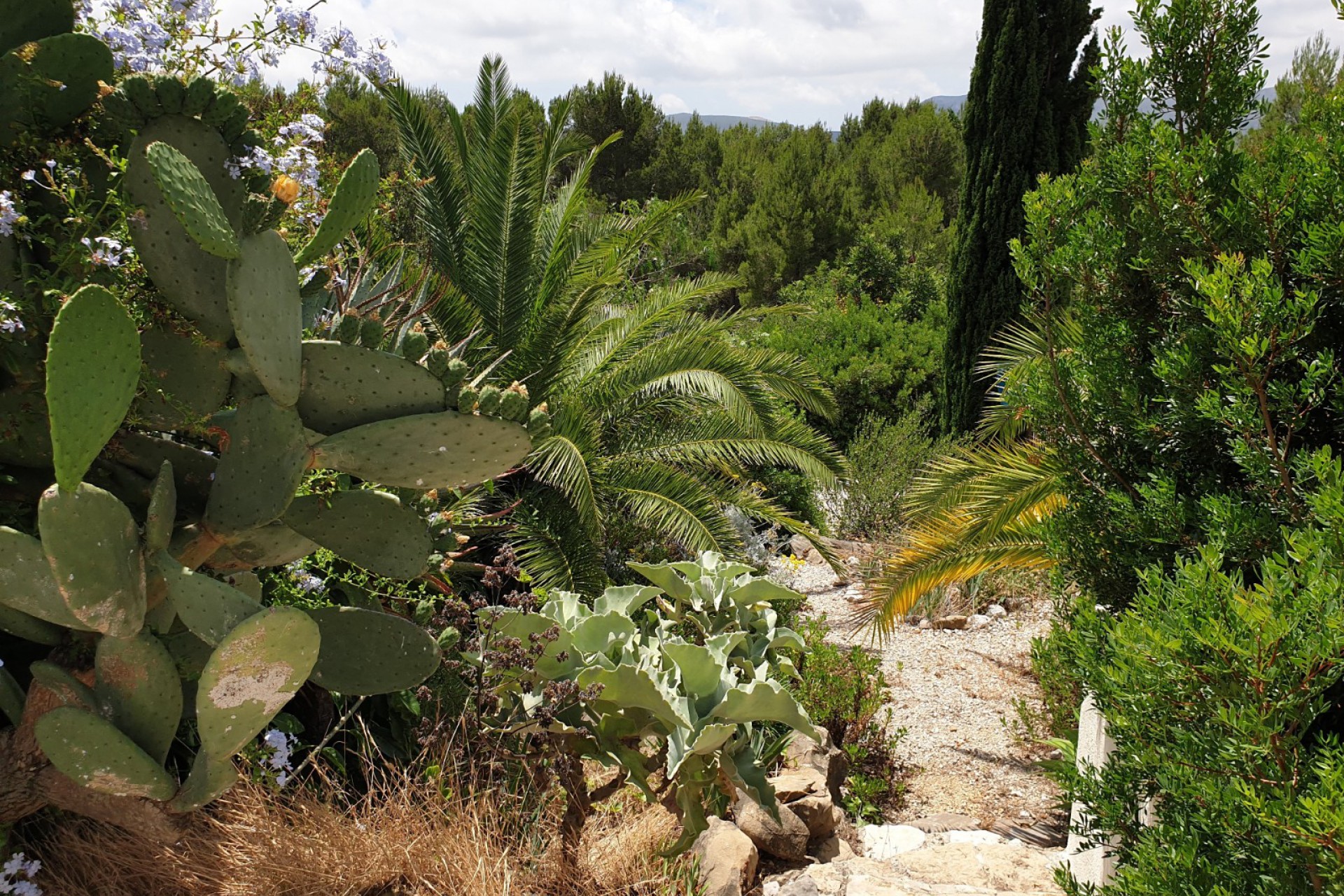 Reventa - Chalet - Javea - Montgo
