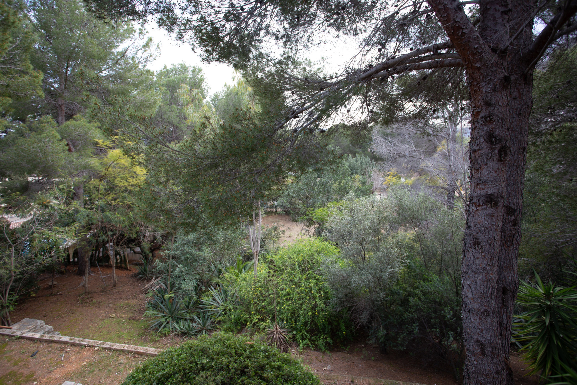 Reventa - Chalet - Jávea / Xàbia - Montgó - Ermita