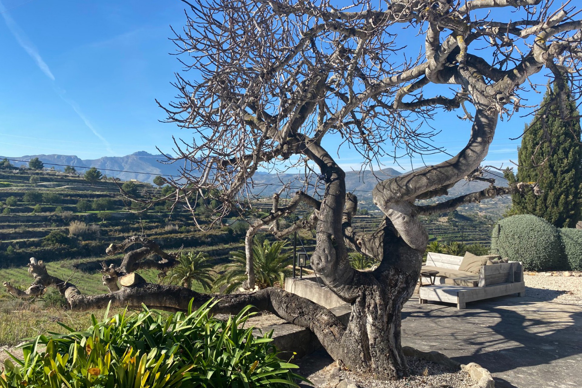 Reventa - Country House / Finca - Benissa - Partida Pedramala