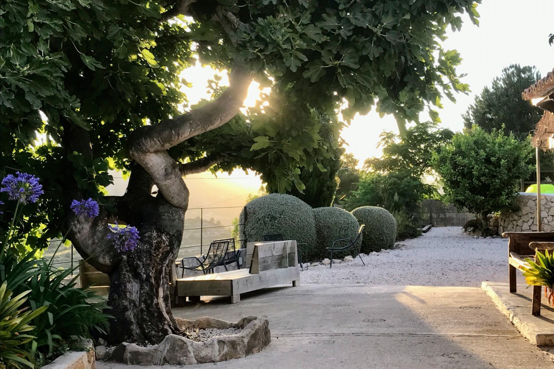 Reventa - Country House / Finca - Benissa - Partida Pedramala