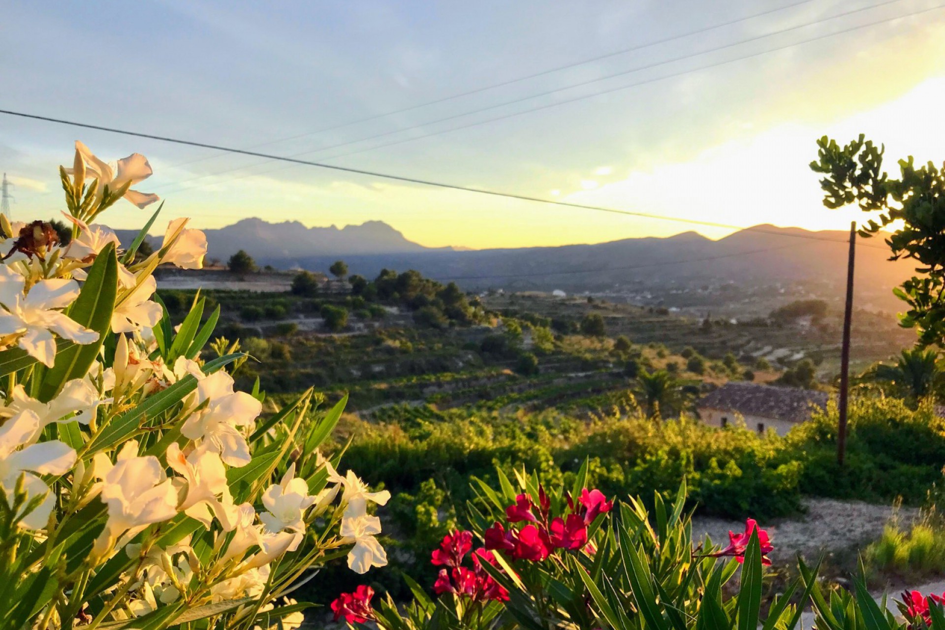 Reventa - Country House / Finca - Benissa - Partida Pedramala