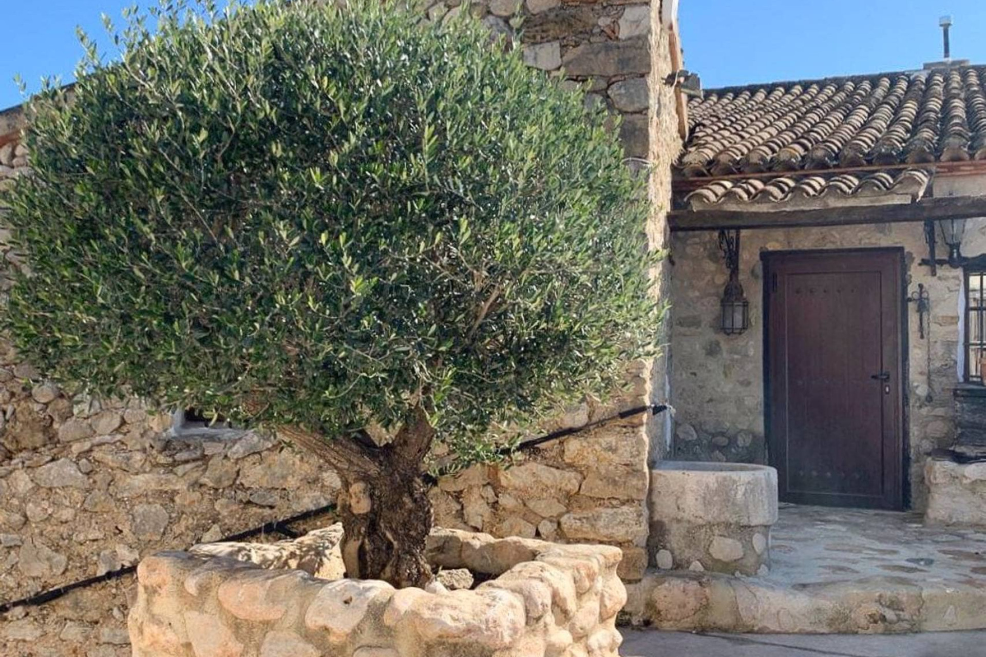 Reventa - Country House / Finca - Jalón