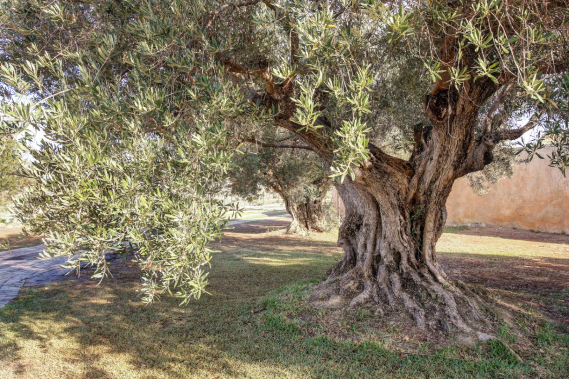 Reventa - Country House / Finca - Moraira - Campo