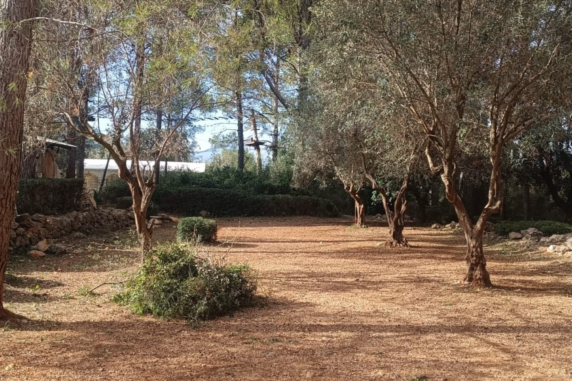 Reventa - Country House / Finca - Parcent