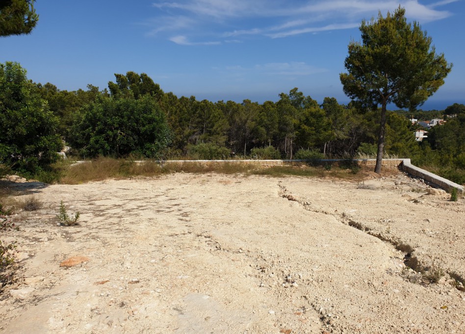 Reventa - Parcela/Terreno - Benissa - Fanadix