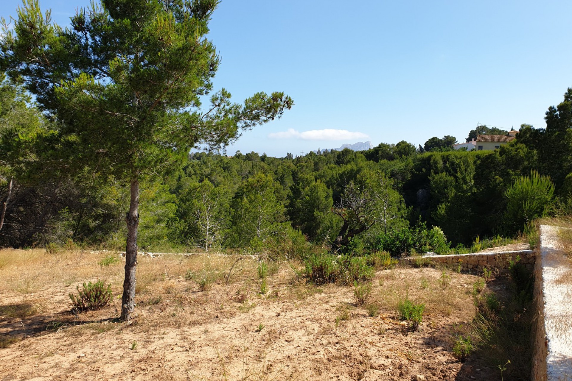 Reventa - Parcela/Terreno - Benissa - Fanadix
