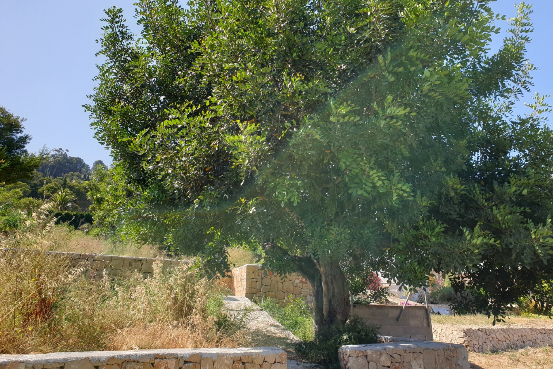 Reventa - Parcela/Terreno - Benissa - Fanadix