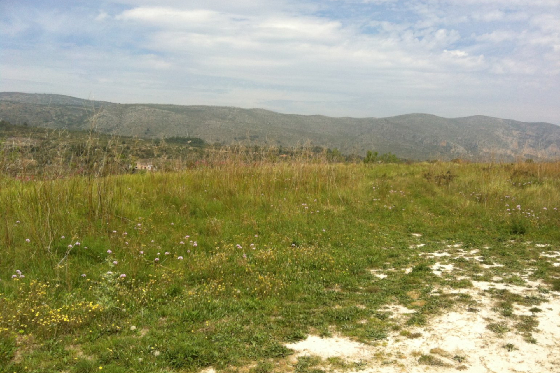 Reventa - Parcela/Terreno - Benissa - Partida Berdica Blanca