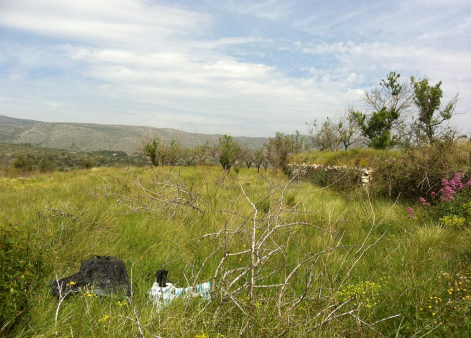 Reventa - Parcela/Terreno - Benissa - Partida Berdica Blanca