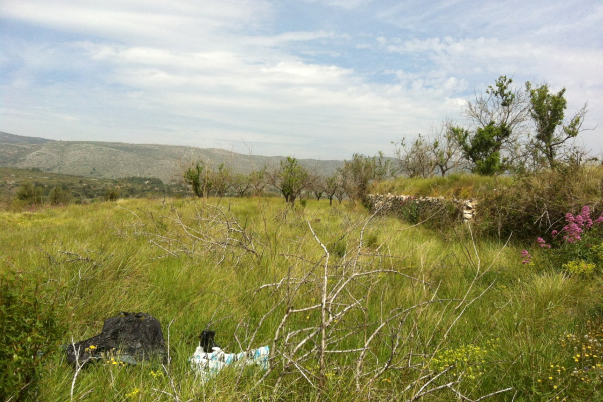 Reventa - Parcela/Terreno - Benissa - Partida Berdica Blanca