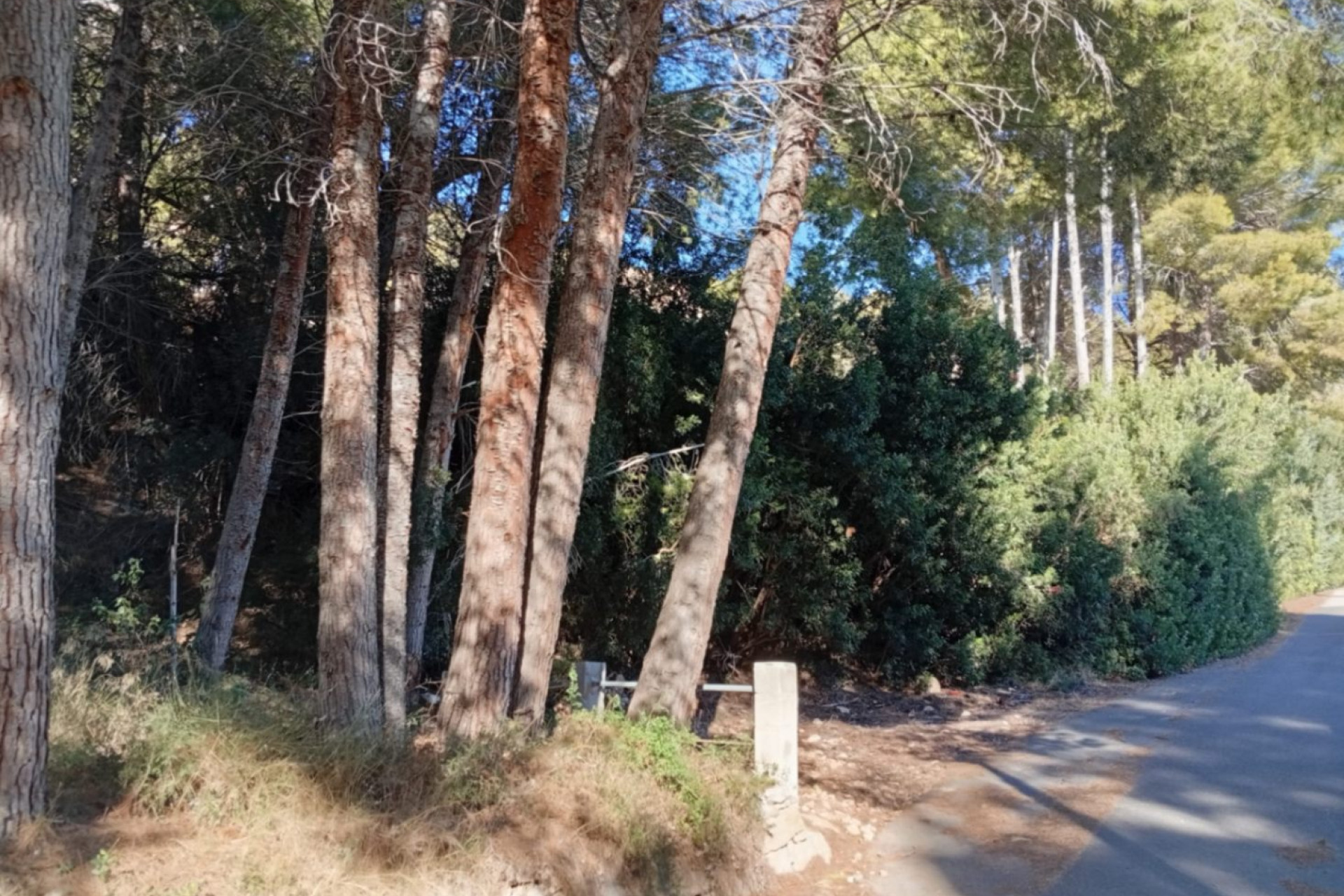Reventa - Parcela/Terreno - Calpe - Oltamar
