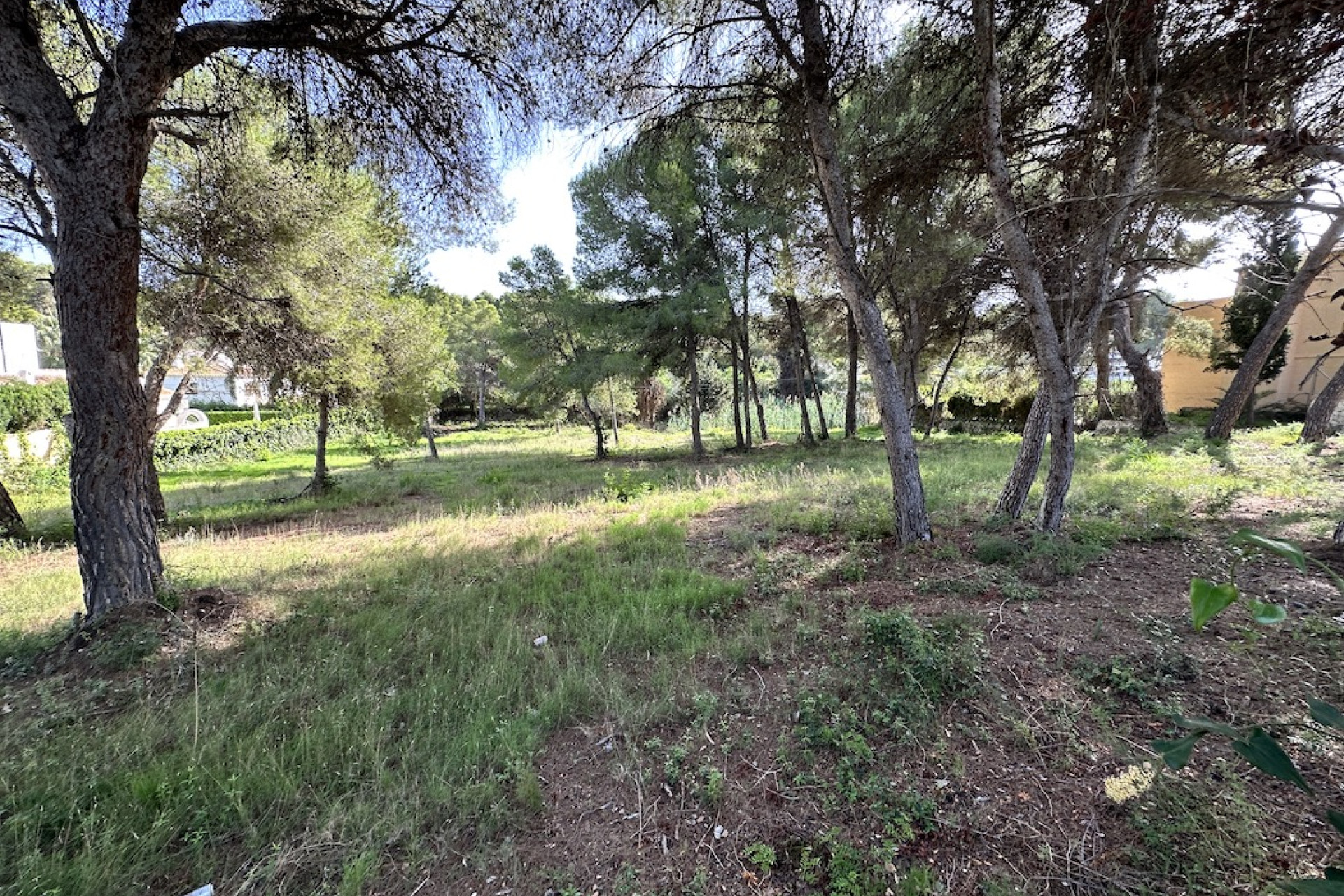 Reventa - Parcela/Terreno - Javea - Jávea