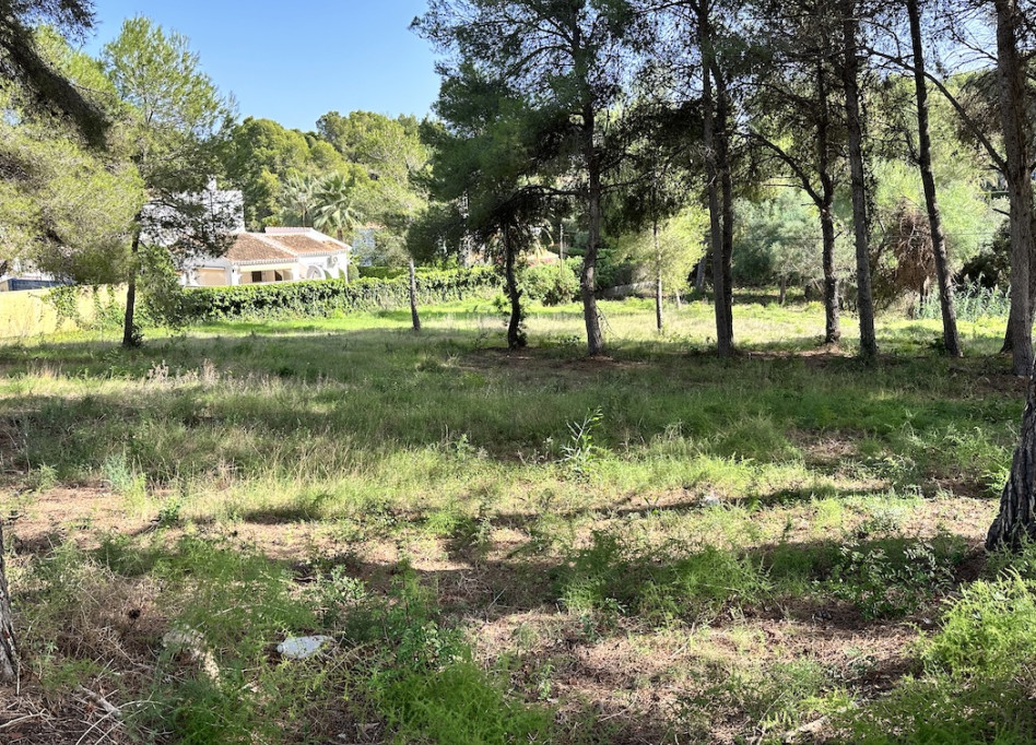 Reventa - Parcela/Terreno - Javea - Jávea