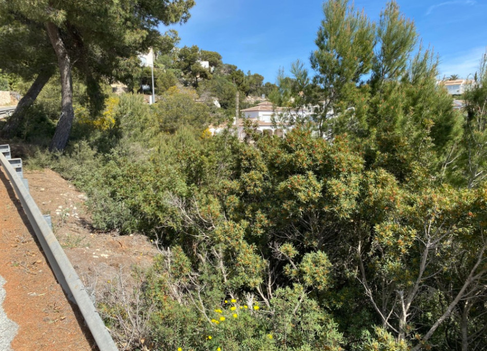 Reventa - Parcela/Terreno - Javea - Jávea