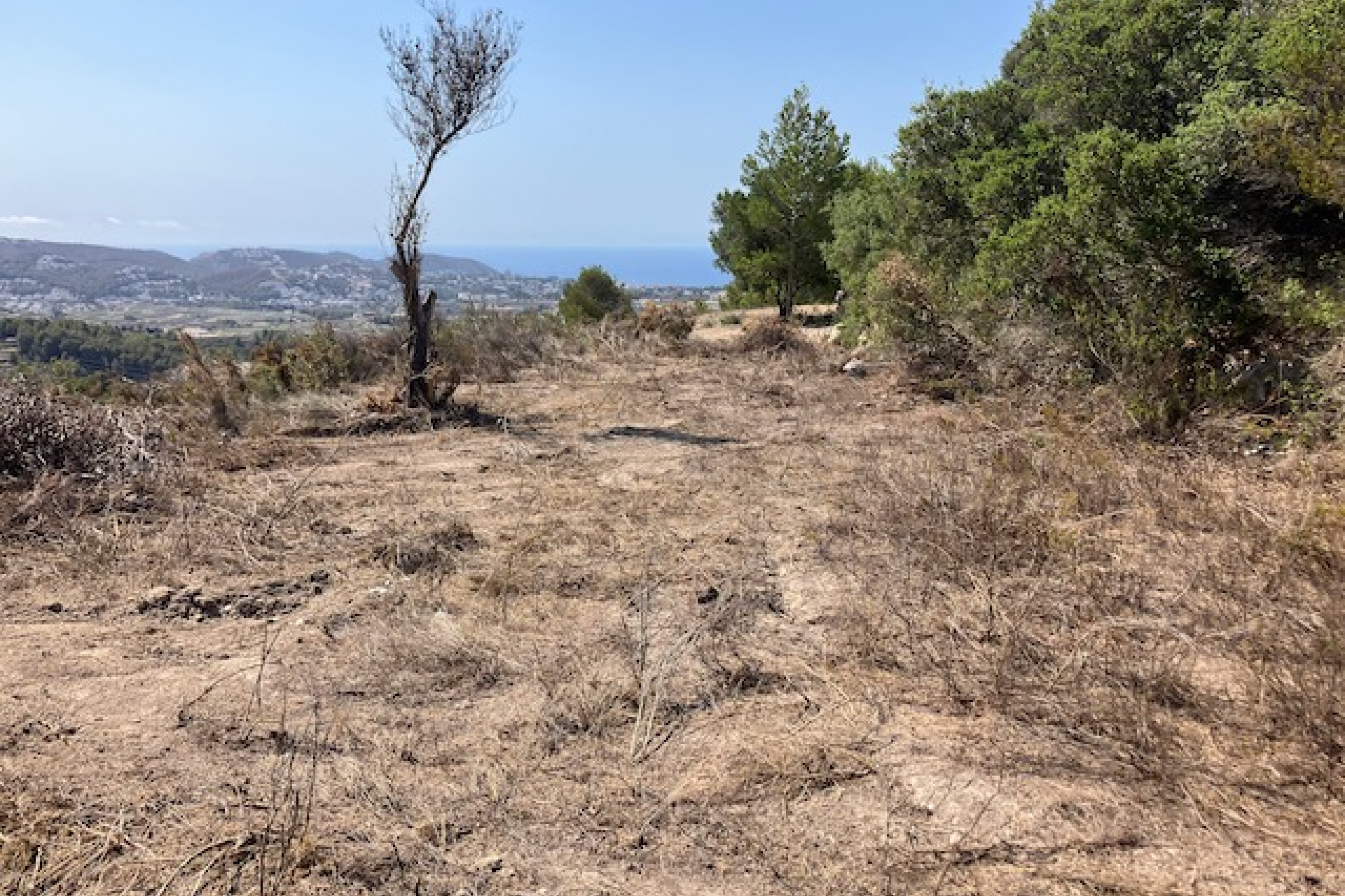 Reventa - Parcela/Terreno - Teulada - Castellons Vida