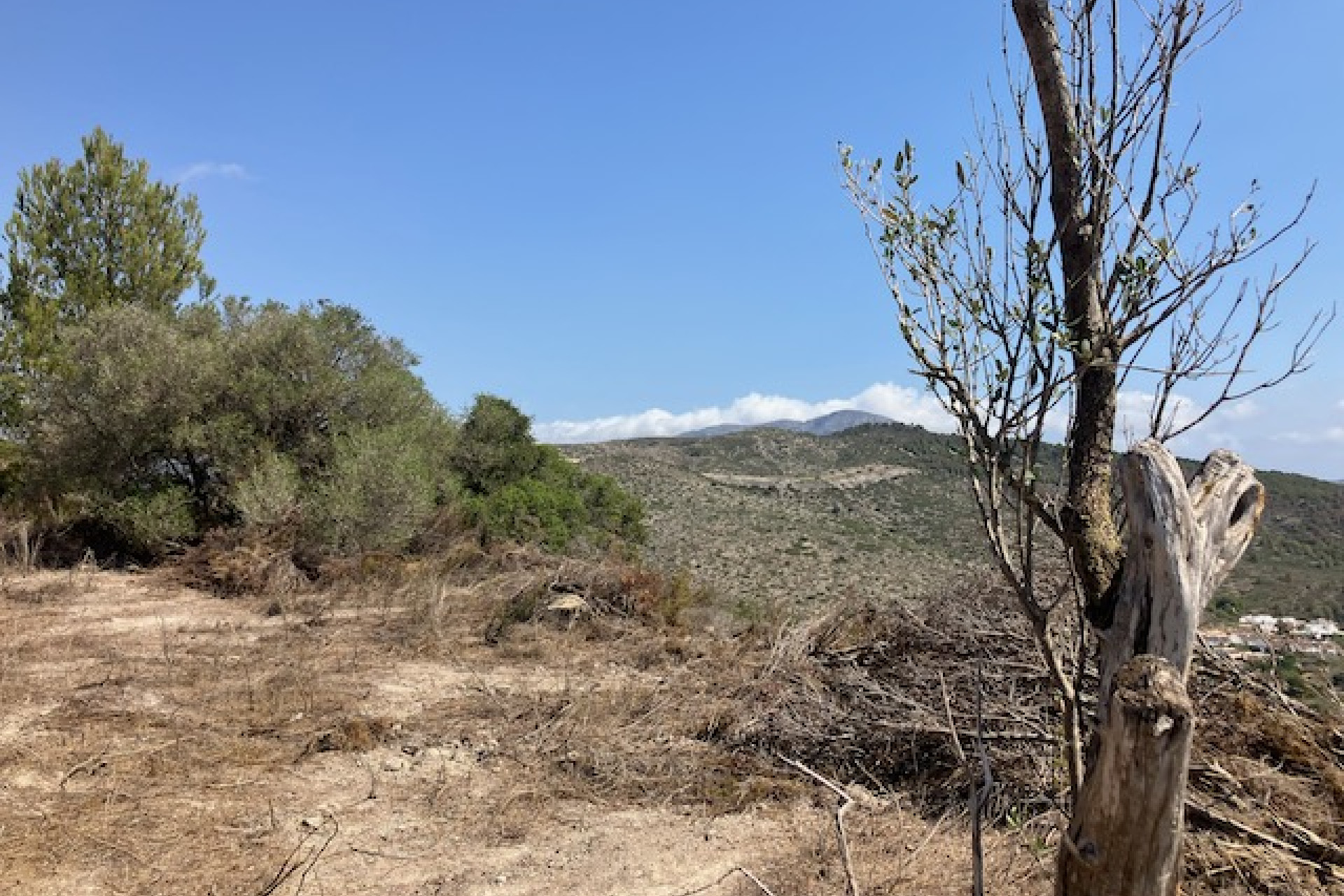 Reventa - Parcela/Terreno - Teulada - Castellons Vida