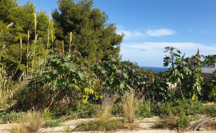 Plot of Land - Resale - Benissa - La Fustera