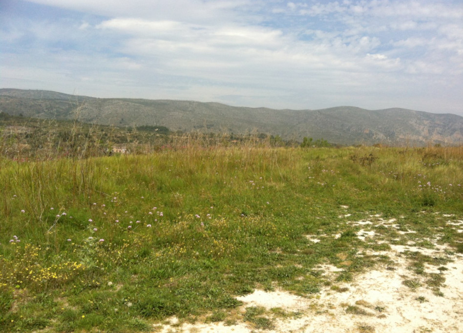 Reventa - Parcela/Terreno - Benissa - Partida Berdica Blanca